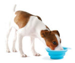 PopWare Collapsible Cups