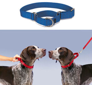 Premier Martingale Collars